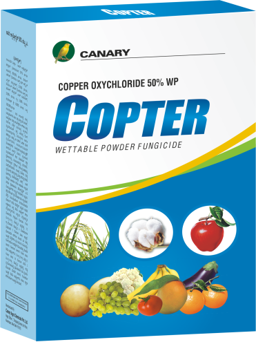 Product 16