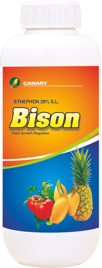 Product 9