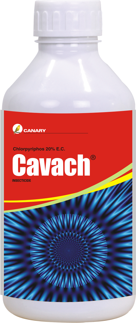 Product 36