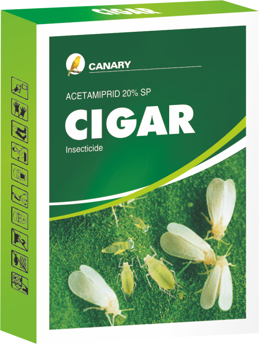 Product 43