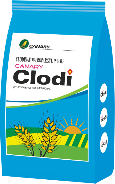 Product 11