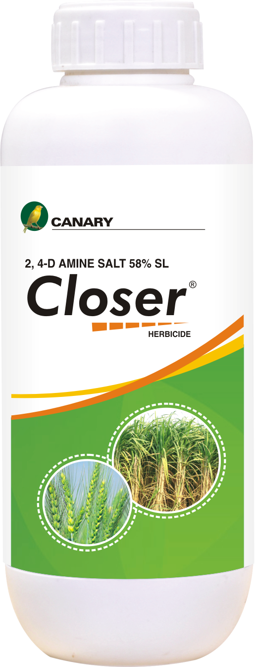 Product 8