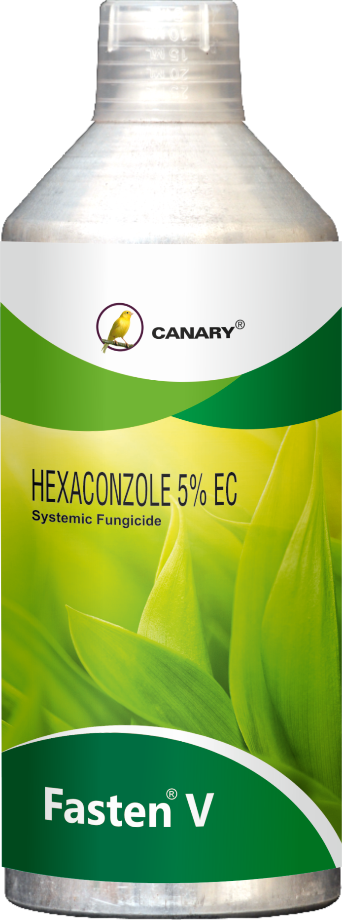 Product 5
