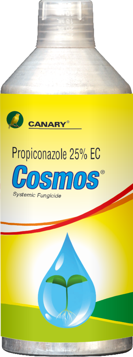 Product 6