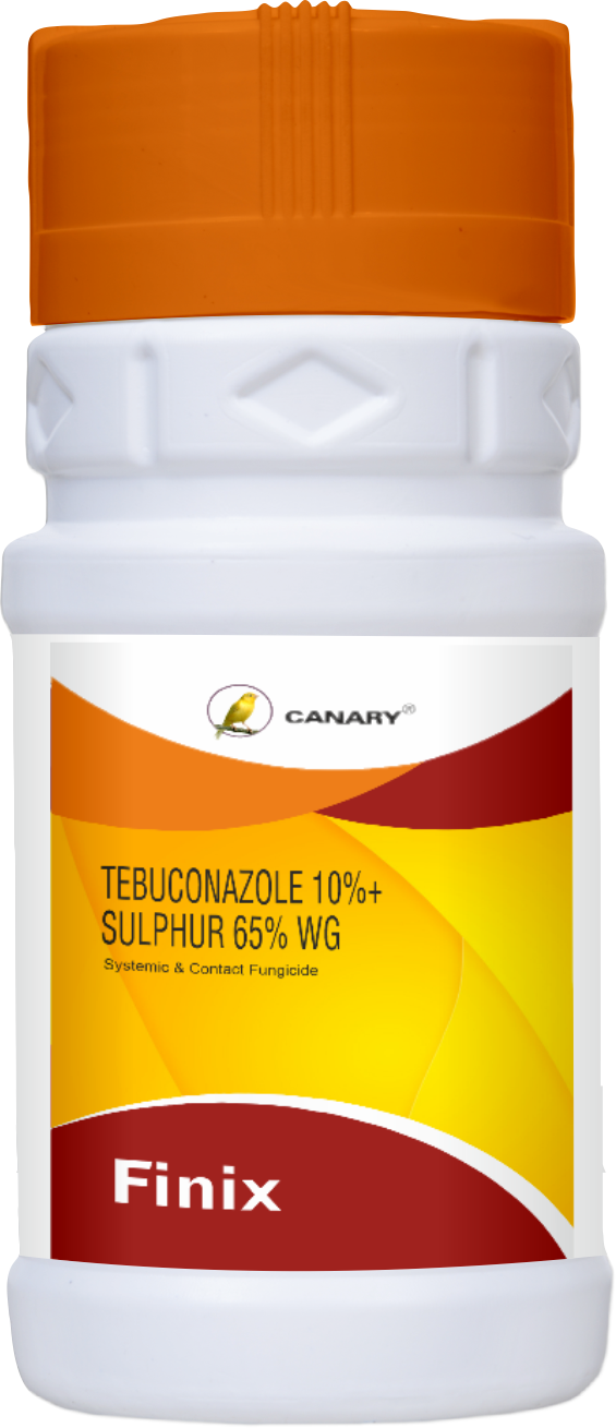 Product 11