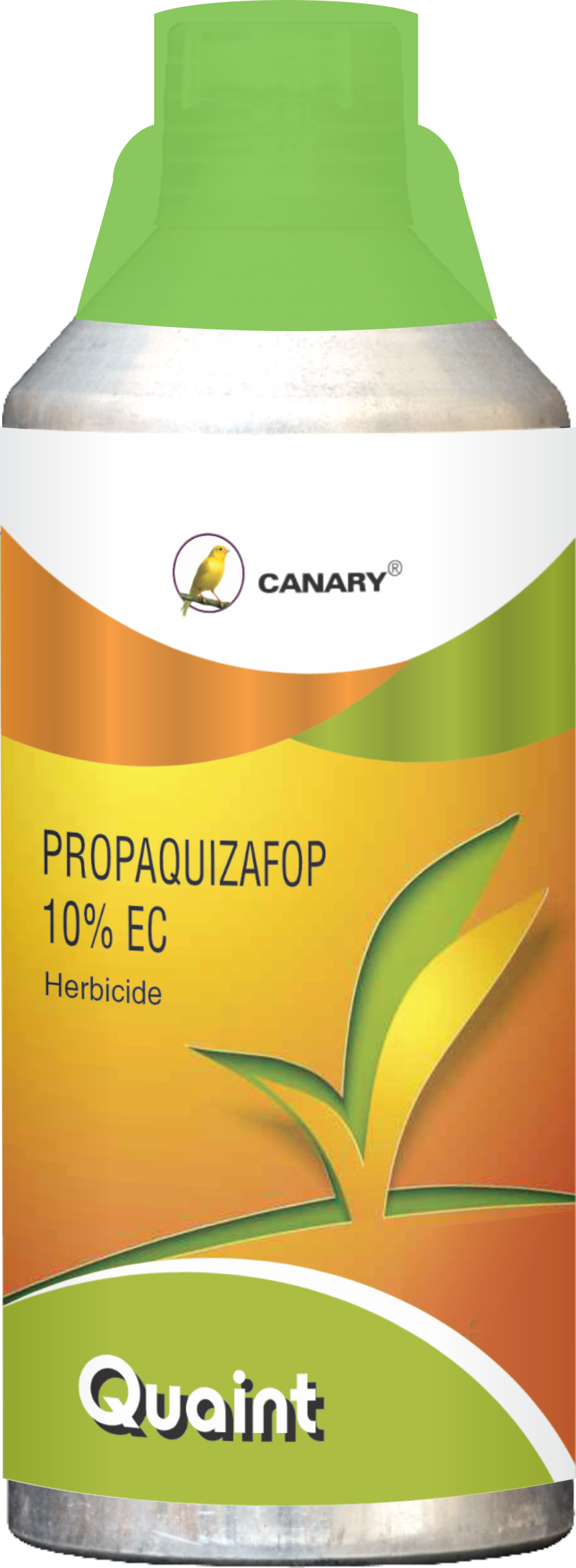 Product 6