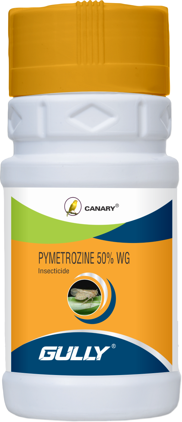 Product 3