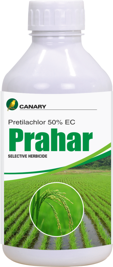 Product 4