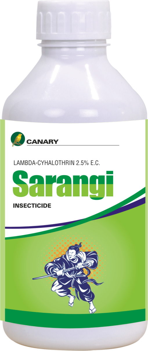 Product 29