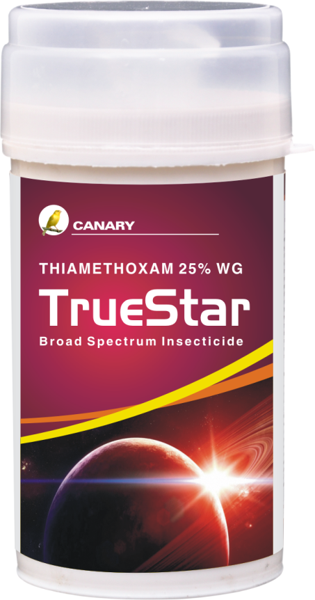 Product 5
