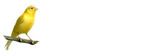 white-logo