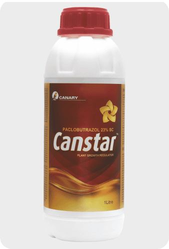 Canstar