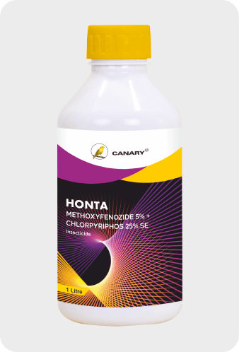 Honta Insecticide