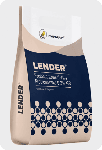 Lender
