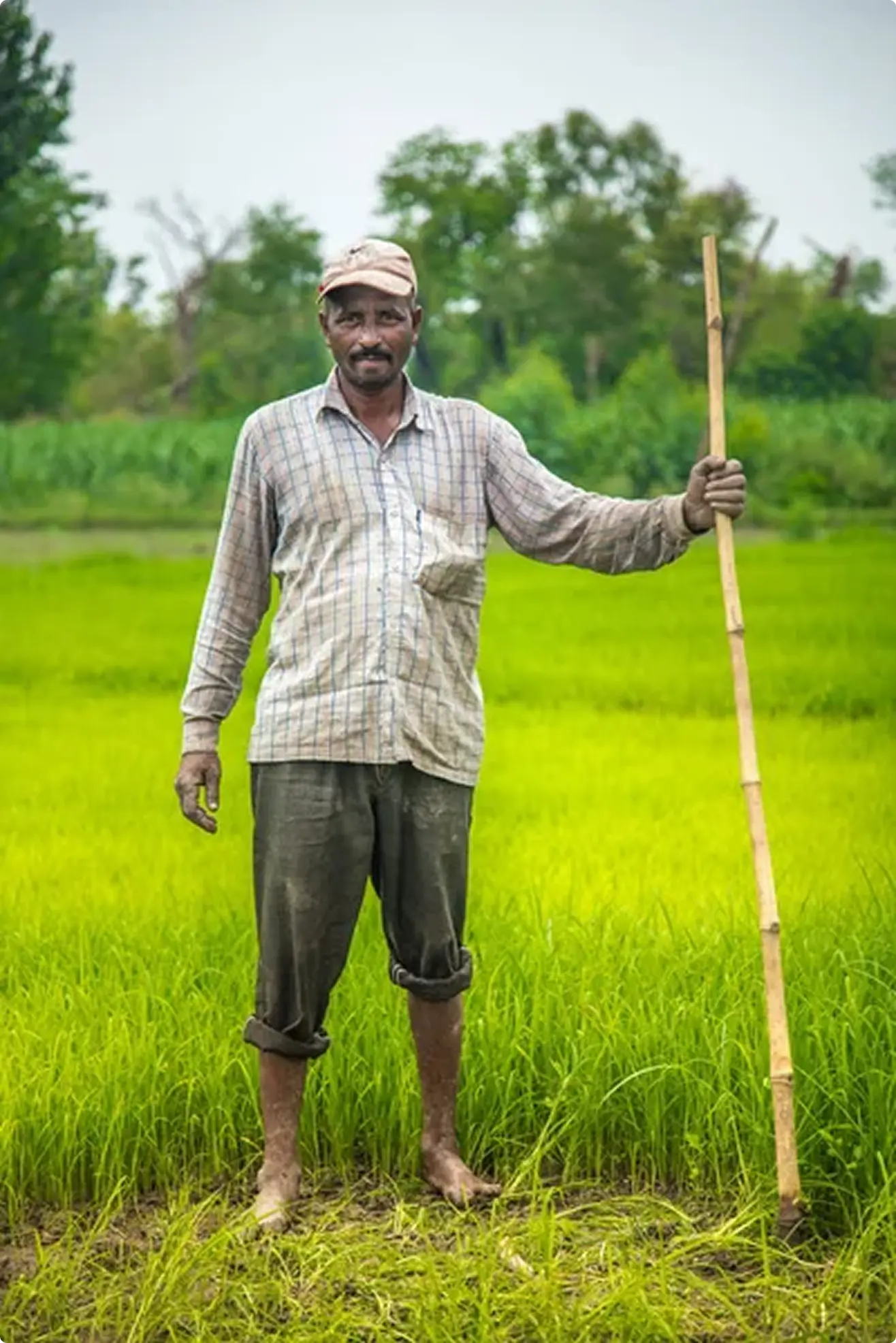 Dinesh Chauhan